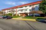 Main Photo: 310 12096 222 Street in Maple Ridge: West Central Condo for sale in "CANUCK PLAZA" : MLS®# R2863884