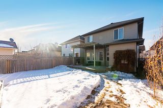 Photo 46: 956 Prestwick Circle SE in Calgary: McKenzie Towne Detached for sale : MLS®# A1061326