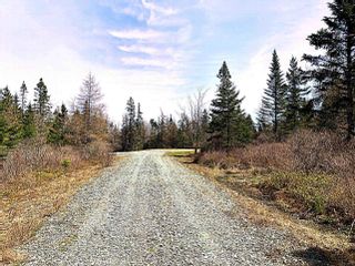 Photo 11: 640 Highway 374 in Sheet Harbour: 35-Halifax County East Vacant Land for sale (Halifax-Dartmouth)  : MLS®# 202209666