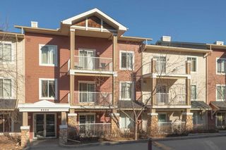 Main Photo: 6313 70 Panamount Drive NW in Calgary: Panorama Hills Apartment for sale : MLS®# A2116075
