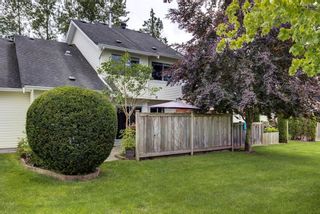 Photo 22: 71 11588 232 Street in Maple Ridge: Cottonwood MR Townhouse for sale in "Cottonwood Village" : MLS®# R2703089