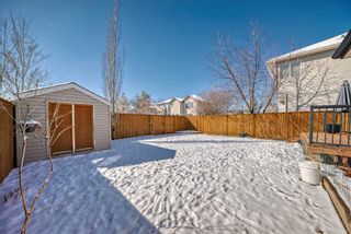 Photo 31: 291 Evanston View NW in Calgary: Evanston Detached for sale : MLS®# A2119232