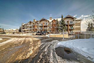 Photo 23: 107 92 Saddletree Court NE in Calgary: Saddle Ridge Apartment for sale : MLS®# A2118184