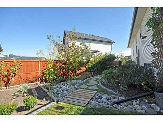 Photo 16: 78 CRAMOND Circle SE in CALGARY: Cranston Residential Detached Single Family for sale (Calgary)  : MLS®# C3539860