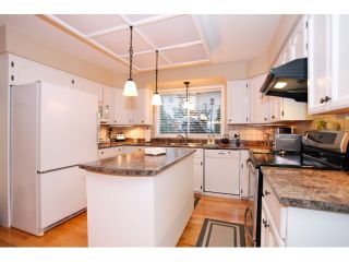 Photo 11: 13568 N 60A Avenue in Surrey: Panorama Ridge House for sale : MLS®# F1432245