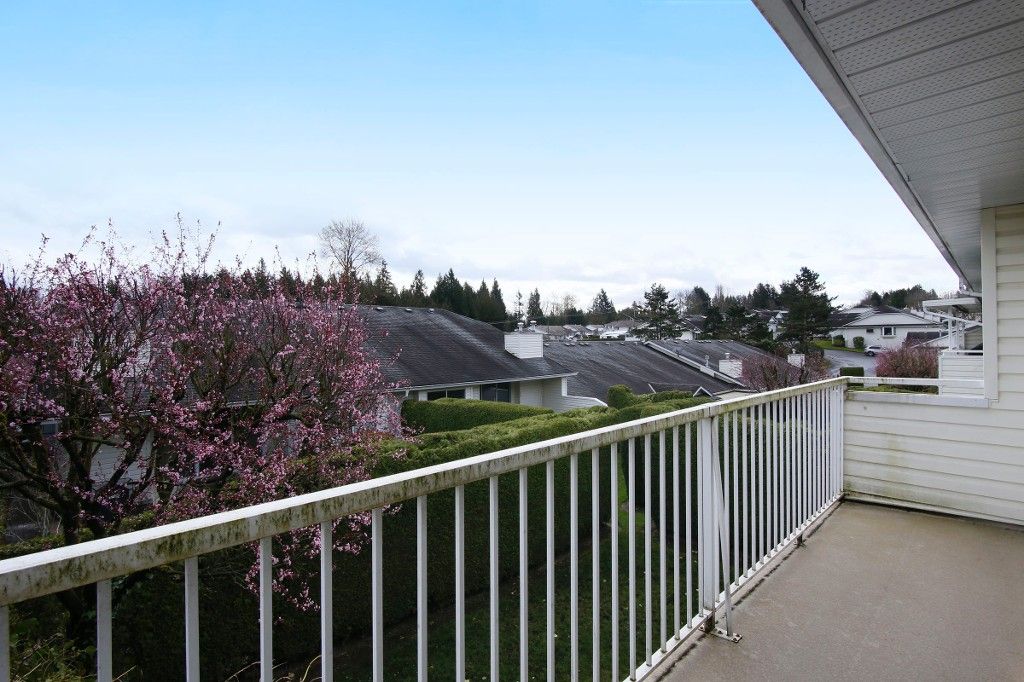 Photo 20: Photos: 31 3054 TRAFALGAR Street in Abbotsford: Central Abbotsford Townhouse for sale in "Whispering Pines" : MLS®# R2154083
