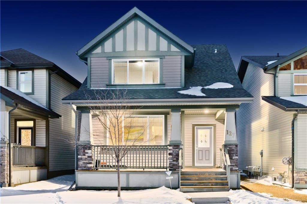 Main Photo: 127 SKYVIEW SPRINGS MR NE in Calgary: Skyview Ranch House for sale : MLS®# C4232076
