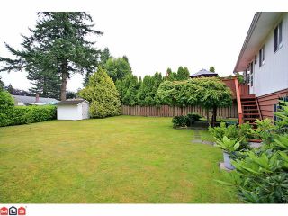 Photo 10: 11008 148A Street in Surrey: Bolivar Heights House for sale (North Surrey)  : MLS®# F1118402
