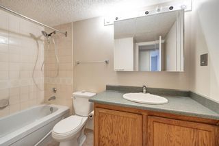 Photo 22: 313 9800 Horton Road SW in Calgary: Haysboro Apartment for sale : MLS®# A2006085