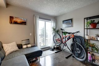 Photo 2: 203 2411 29 Street SW in Calgary: Killarney/Glengarry Apartment for sale : MLS®# A2128044