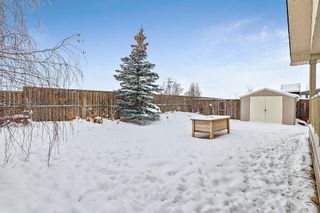 Photo 47: 2270 High Country Rise NW: High River Detached for sale : MLS®# A2030932
