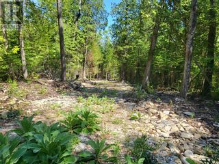 Photo 12: Lot 2 31M-209 Water Street in Meldrum Bay: Vacant Land for sale : MLS®# 2117208