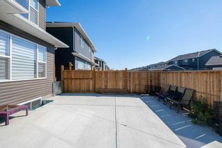 Photo 44: 224 Red Sky Way NE in Calgary: Redstone Detached for sale : MLS®# A2080663