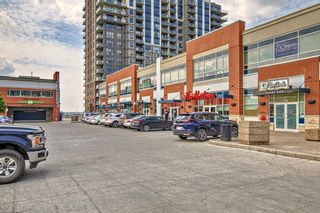 Photo 36: 1501 8880 Horton Road SW in Calgary: Haysboro Apartment for sale : MLS®# A2051426