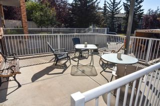 Photo 3: 319 165 Manora Place NE in Calgary: Marlborough Park Apartment for sale : MLS®# A1246551