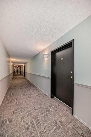 Photo 4: 118 20 Dover Point SE in Calgary: Dover Apartment for sale : MLS®# A2124249