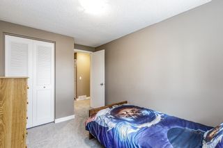 Photo 21: 132 Pineland Place NE in Calgary: Pineridge Detached for sale : MLS®# A1110576
