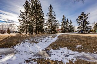 Photo 37: 333 Flett Drive: Airdrie Detached for sale : MLS®# A1175171