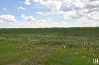 Photo 3: RR 260 & Twp 564 NW: Rural Sturgeon County Rural Land/Vacant Lot for sale : MLS®# E4298717