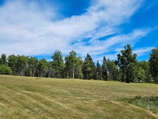 Photo 32: 24410 VERDUN BISHOP FOREST SERVICE Road in Burns Lake: South Francois House for sale : MLS®# R2786528
