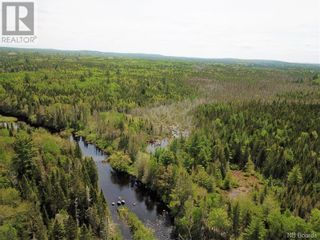 Photo 4: Lot B Canoose Stream Road in Canoose: Vacant Land for sale : MLS®# NB090910