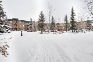 Photo 44: 339 2727 28 Avenue SE in Calgary: Dover Apartment for sale : MLS®# A2031901