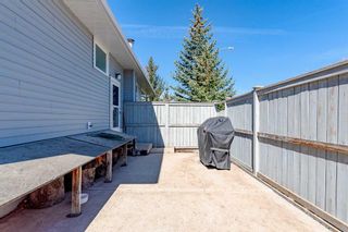 Photo 29: 224 Cardiff Drive NW in Calgary: Cambrian Heights Detached for sale : MLS®# A2123483