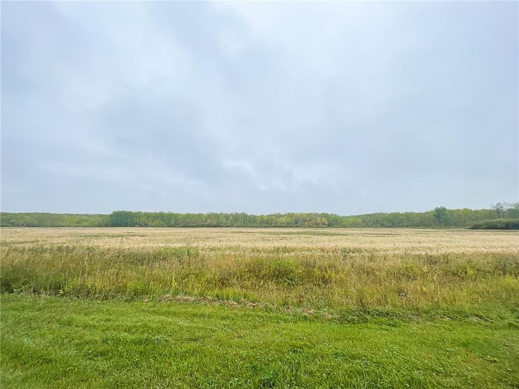 Main Photo: Hazelridge Road in Springfield Rm: Vacant Land for sale : MLS®# 202223558