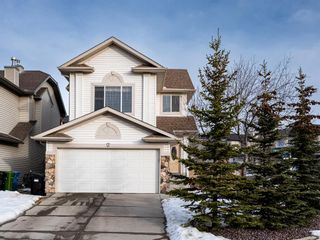 Photo 1: 2 Royal Birch Heights NW in Calgary: Royal Oak Detached for sale : MLS®# A2019295