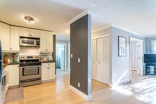 Photo 16: 5 616 24 Avenue SW in Calgary: Cliff Bungalow Apartment for sale : MLS®# A2022586