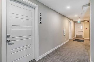 Photo 5: 302 1734 11 Avenue SW in Calgary: Sunalta Apartment for sale : MLS®# A2117305