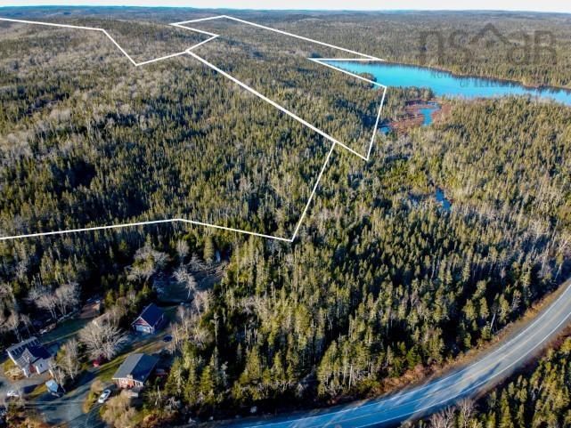 Main Photo: Welsh Lake (Prospect) Road in East Dover: 40-Timberlea, Prospect, St. Marg Vacant Land for sale (Halifax-Dartmouth)  : MLS®# 202319990
