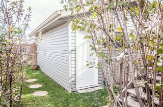 Photo 35: 259 CRANBERRY Place SE in Calgary: Cranston Detached for sale : MLS®# C4214402