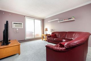 Photo 9: 307 225 Princeton Boulevard in Winnipeg: Condominium for sale (1G)  : MLS®# 202302288