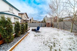 Photo 44: 230 Crystal Green Point: Okotoks Detached for sale : MLS®# A2097953
