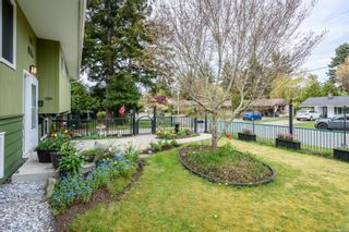Photo 44: 1701 Dogwood Ave in Comox: CV Comox (Town of) House for sale (Comox Valley)  : MLS®# 962728