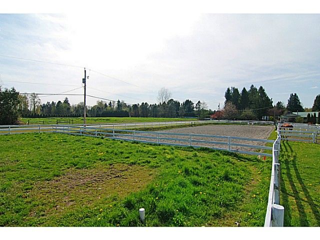 Photo 9: Photos: 21515 18TH Avenue in Langley: Campbell Valley House for sale in "Equestrian Riding Ring" : MLS®# F1407978