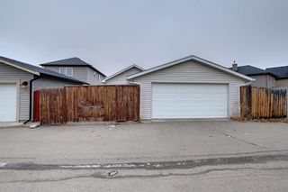 Photo 50: 55 Tarawood Grove NE in Calgary: Taradale Detached for sale : MLS®# A1183336