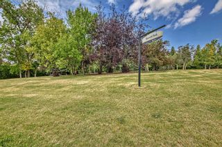 Photo 42: 3520 Beaver Road NW in Calgary: Brentwood Detached for sale : MLS®# A2094081