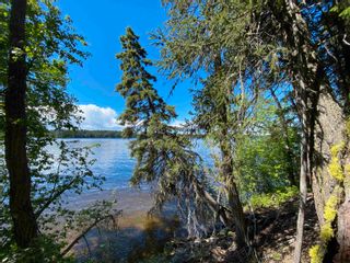 Photo 10: LOT 8 S SOMERSET Drive: Cluculz Lake Land for sale in "SOMERSET ESTATES" (PG Rural West)  : MLS®# R2665292