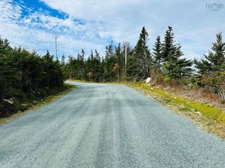 Photo 8: Lot 09-5 West Liscomb Point Road in West Liscomb: 303-Guysborough County Vacant Land for sale (Highland Region)  : MLS®# 202324035