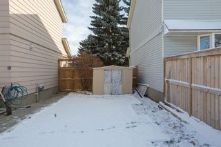 Photo 34: 23 Erin Woods Place SE in Calgary: Erin Woods Detached for sale : MLS®# A1043975