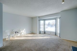 Photo 49: 59 whitehaven Road NE in Calgary: Whitehorn Detached for sale : MLS®# A2010475