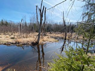 Photo 16: Lot 21 Lakeside Drive in Little Harbour: 108-Rural Pictou County Vacant Land for sale (Northern Region)  : MLS®# 202408041