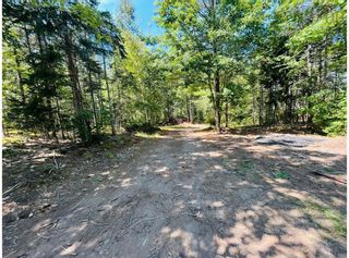 Photo 6: Lot Sarah Drive in Coldbrook: Kings County Vacant Land for sale (Annapolis Valley)  : MLS®# 202221449