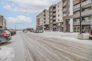 Photo 46: 1203 4641 128 Avenue NE in Calgary: Skyview Ranch Apartment for sale : MLS®# A2025846