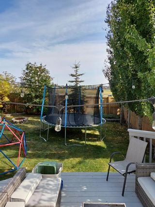 Photo 31: 87 Evansmeade Crescent NW in Calgary: Evanston Detached for sale : MLS®# A2013812