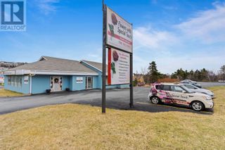 Photo 1: 9 Commonwealth Avenue in Mount Pearl: Retail for sale : MLS®# 1263473