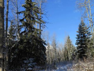Photo 20: GLACIER GULCH RD ROAD in Smithers: Smithers - Rural Land for sale (Smithers And Area (Zone 54))  : MLS®# R2633357