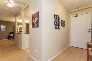 Photo 6: 122 12170 222 Street in Maple Ridge: West Central Condo for sale in "WILDWOOD TERRACE" : MLS®# R2711632